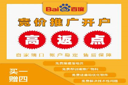 案例研究：SEM开户助力电商快速崛起