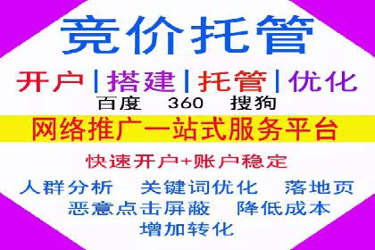 行业领先企业的SEM竞价代运营成功案例揭秘